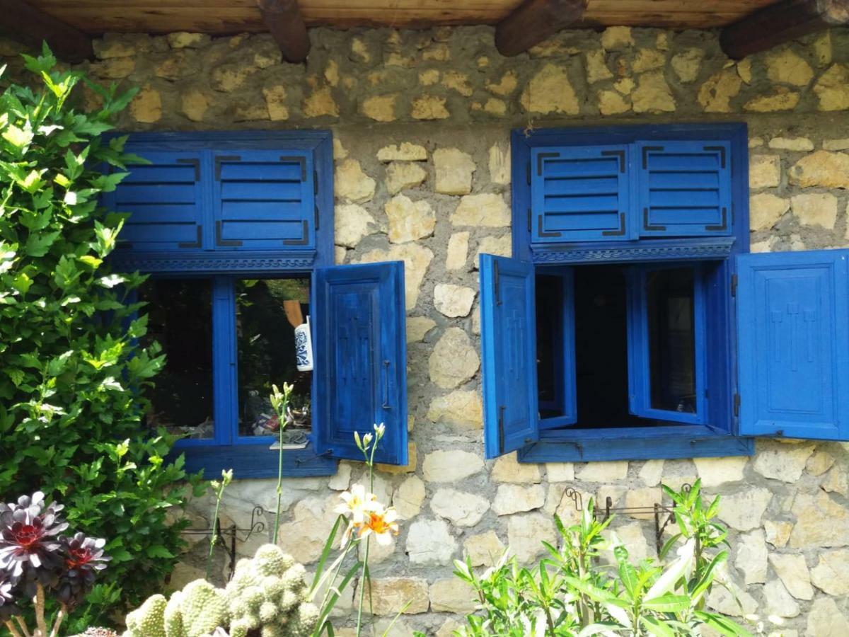 Casa Anca Cheile Nerei Villa Socolari Exterior photo